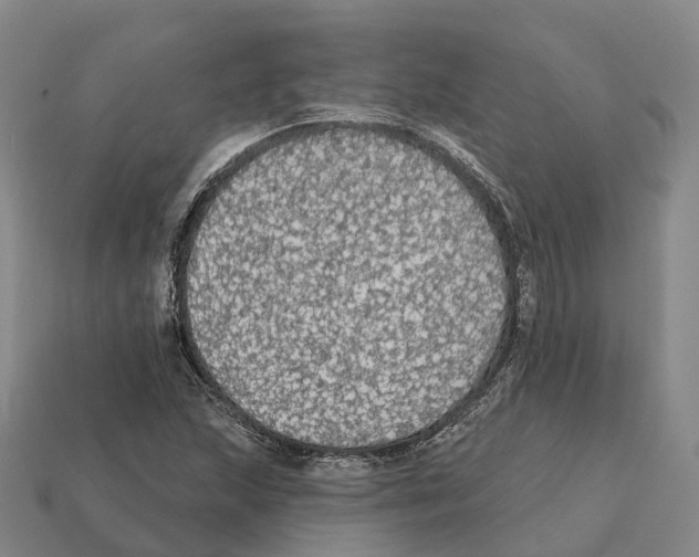 X0000112431215200909251530