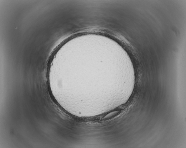 X0000112431216200909251530