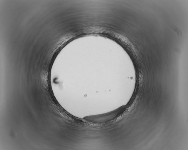 X0000112431217200909251530