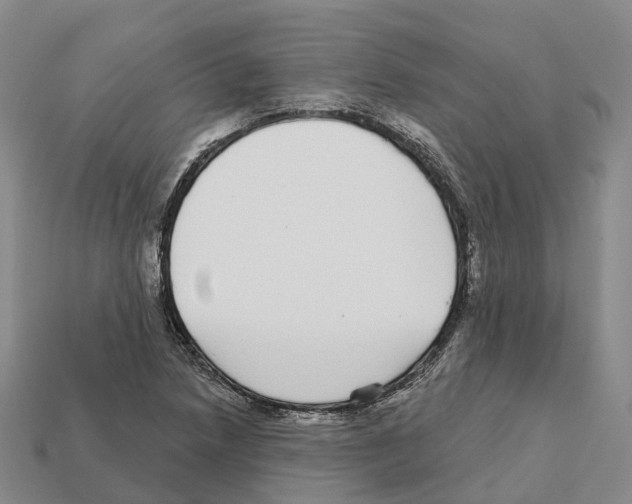 X0000112431218200909251530
