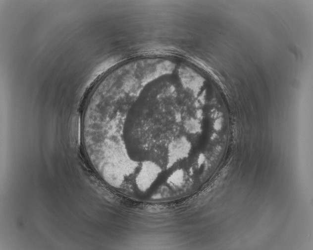 X0000112431219200909251530