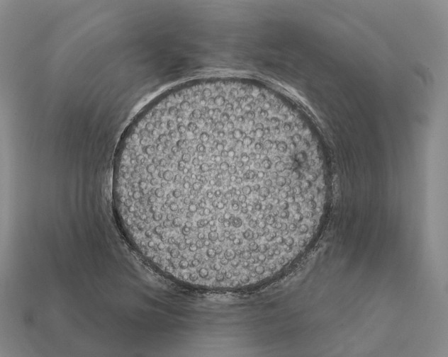 X0000112431220200909251530
