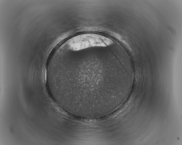 X0000112431221200909251530
