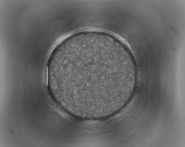 X0000112431223200909251530