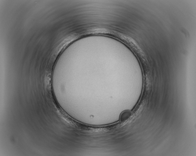 X0000112431225200909251530