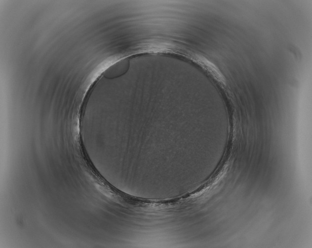 X0000112431226200909251530