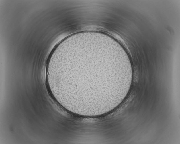 X0000112431227200909251530