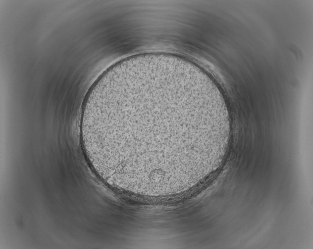 X0000112431228200909251530