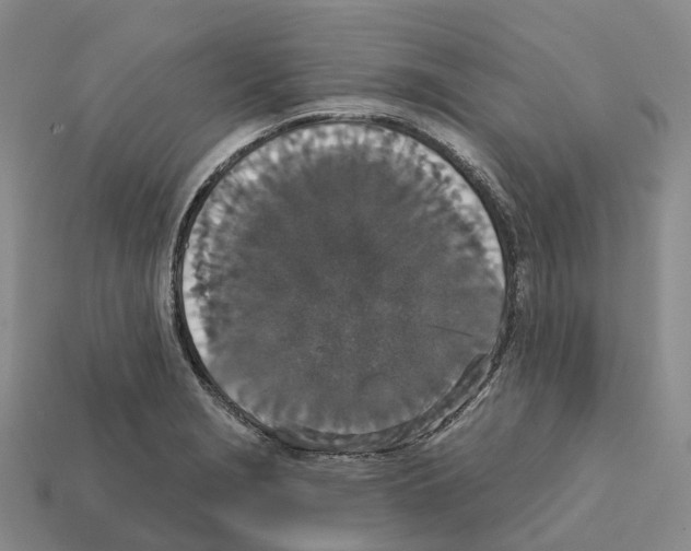 X0000112431229200909251530