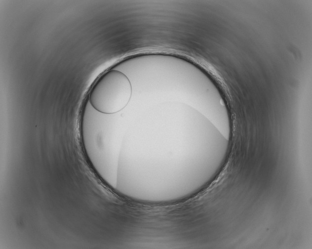 X0000112431230200909251530