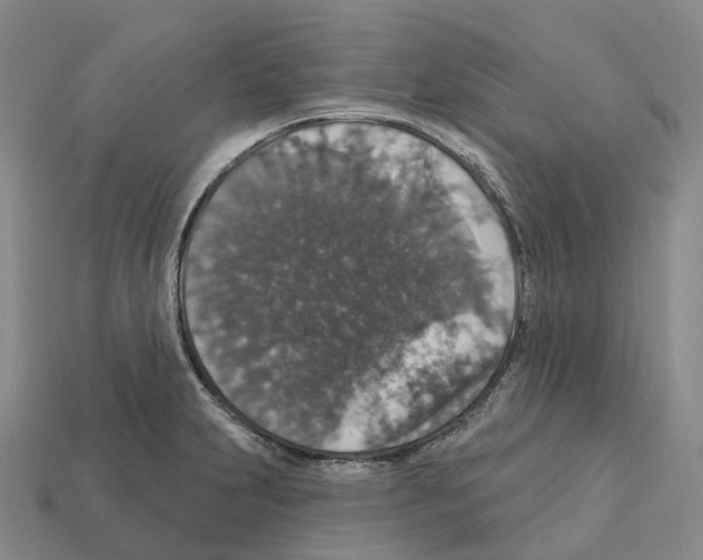 X0000112431231200909251530