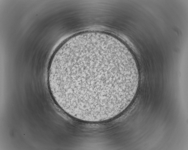 X0000112431232200909251530