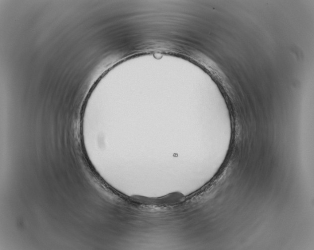 X0000112431234200909251530