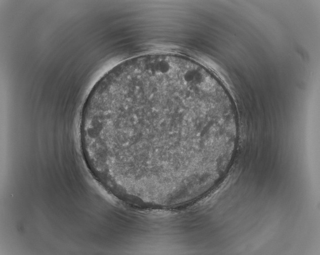 X0000112431235200909251530