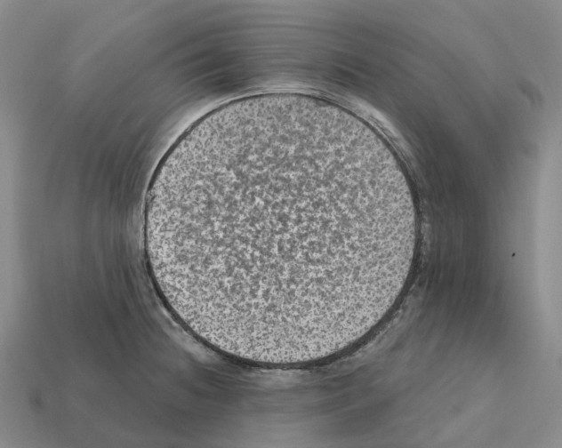 X0000112431236200909251530