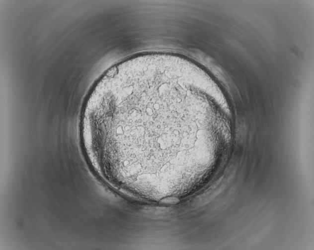 X0000112431237200909251530