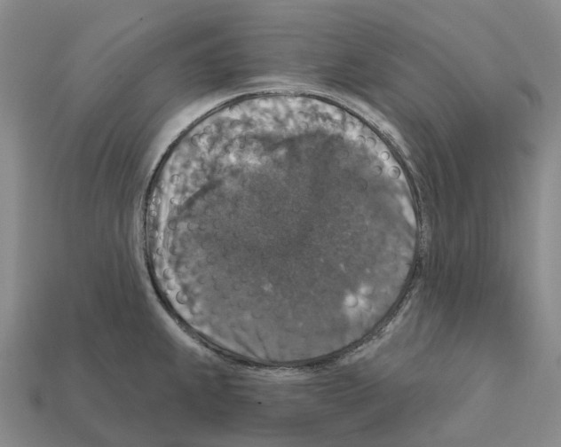 X0000112431239200909251530