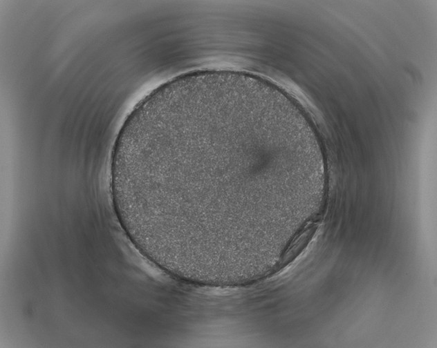 X0000112431240200909251530