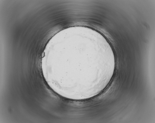 X0000112431241200909251530