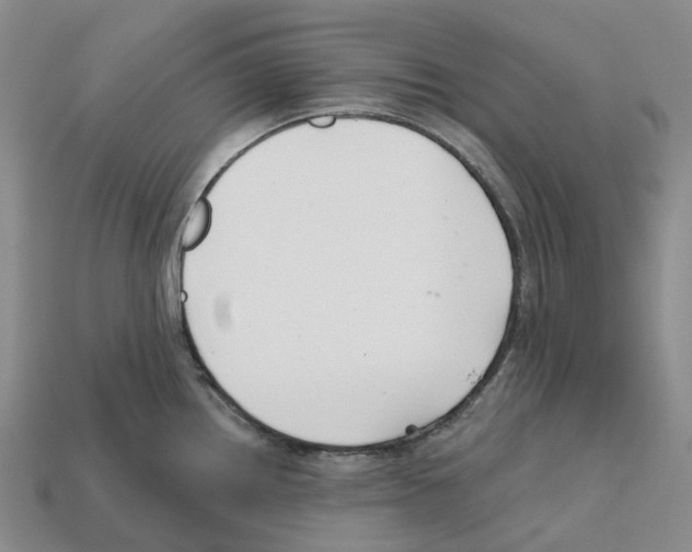 X0000112431242200909251530