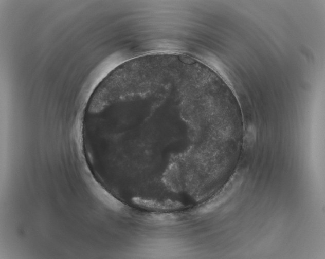 X0000112431243200909251530