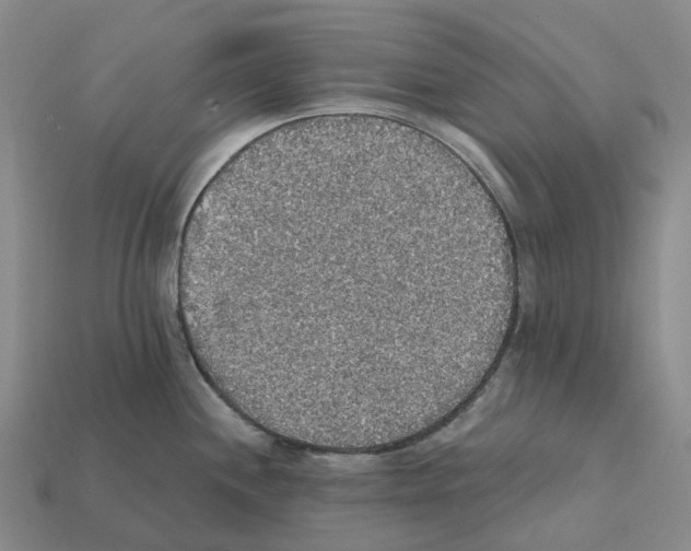 X0000112431244200909251530