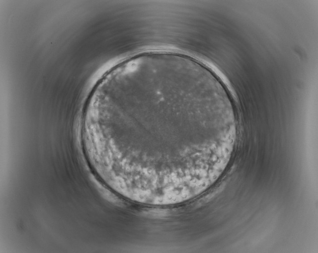 X0000112431245200909251530