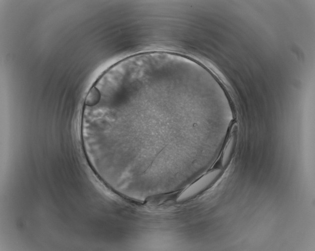 X0000112431246200909251530