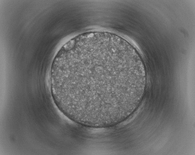 X0000112431247200909251530