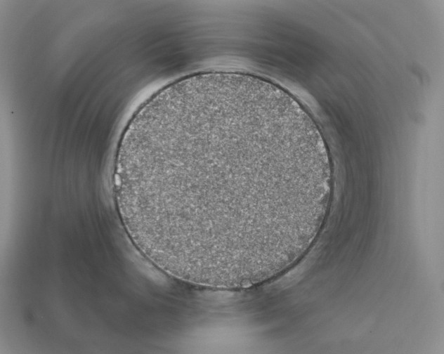 X0000112431248200909251530