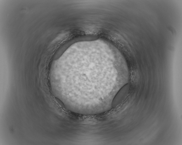 X0000112431249200909251529