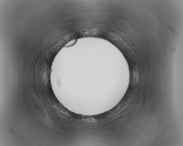 X0000112431250200909251529
