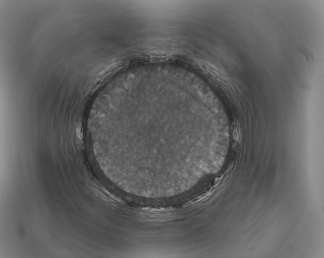 X0000112431252200909251529