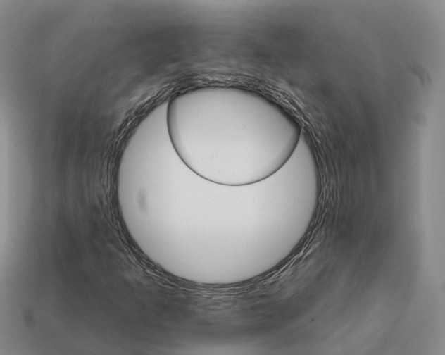 X0000112431253200909251529