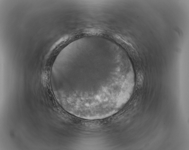X0000112431254200909251529