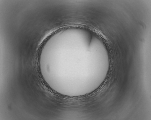 X0000112431256200909251529