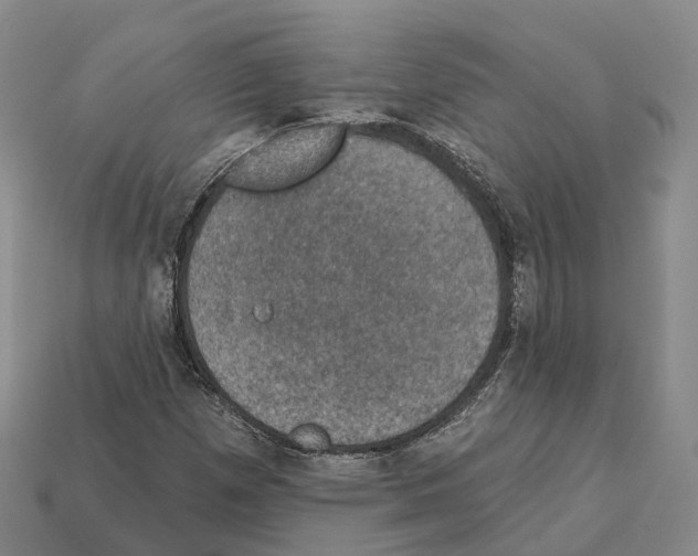 X0000112431257200909251529