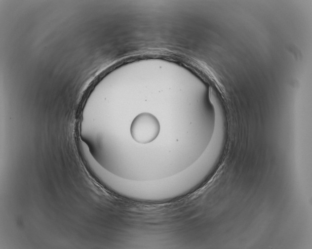 X0000112431260200909251529