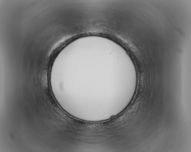 X0000112431262200909251529