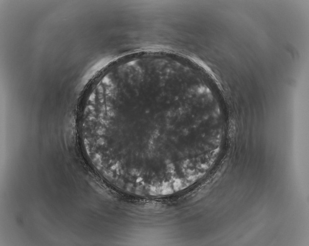 X0000112431263200909251529