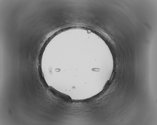 X0000112431264200909251529