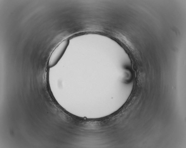 X0000112431268200909251529