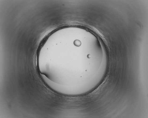X0000112431269200909251529