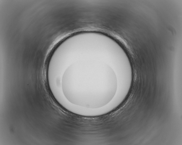 X0000112431270200909251529