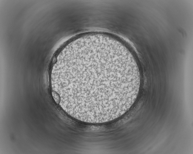 X0000112431271200909251529
