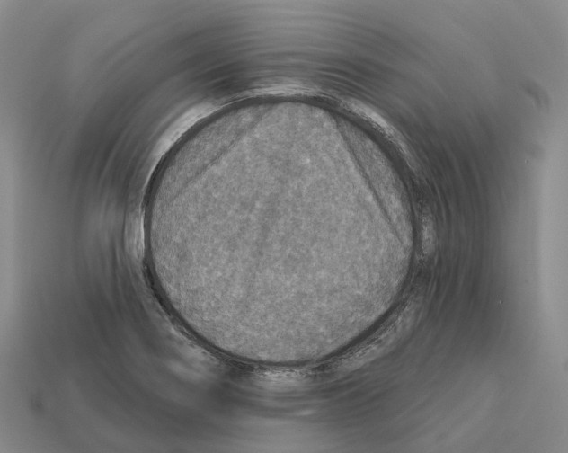 X0000112431274200909251529