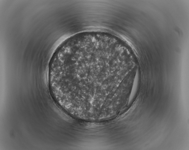 X0000112431275200909251529