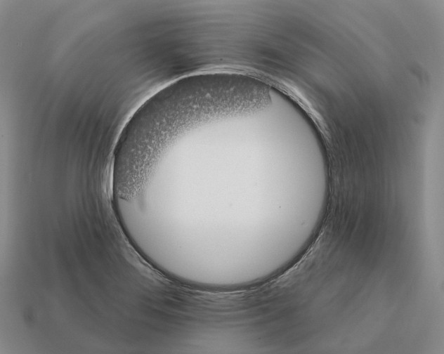 X0000112431276200909251529
