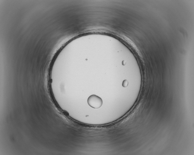 X0000112431277200909251529
