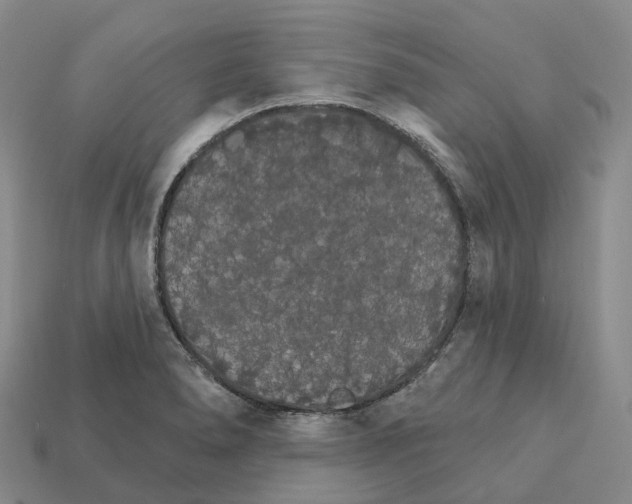X0000112431278200909251529